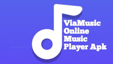 ViaMusic - Online Music player Apk