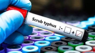 Scrub Typhus Cases are Rises in Bargarh, Odisha