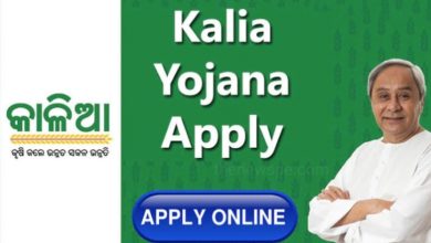 Kalia Yojna 2023 : Online Application and eKYC