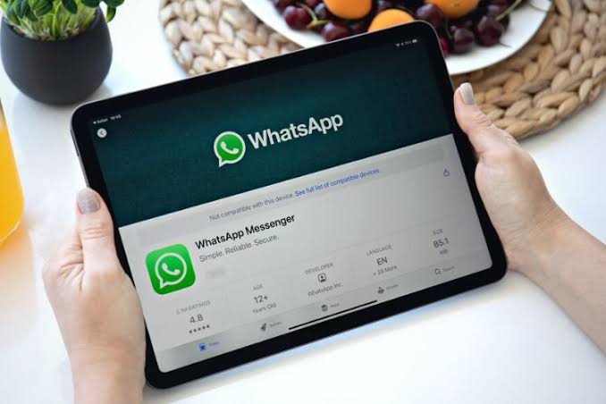 WhatsApp is Finally Testing its iOS App for iPad