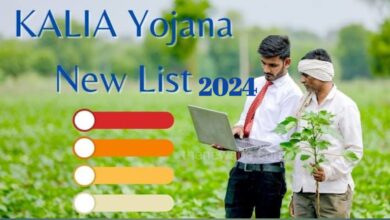 How to Check the Kalia Yojana Beneficiary List