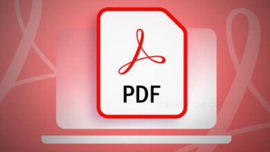 Want to Edit a PDF on Windows! Know More