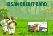 Screen Showing Farmers to Showing What to Check Before Applying for a Kisan Credit Card (KCC)