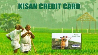 Screen Showing Farmers to Showing What to Check Before Applying for a Kisan Credit Card (KCC)